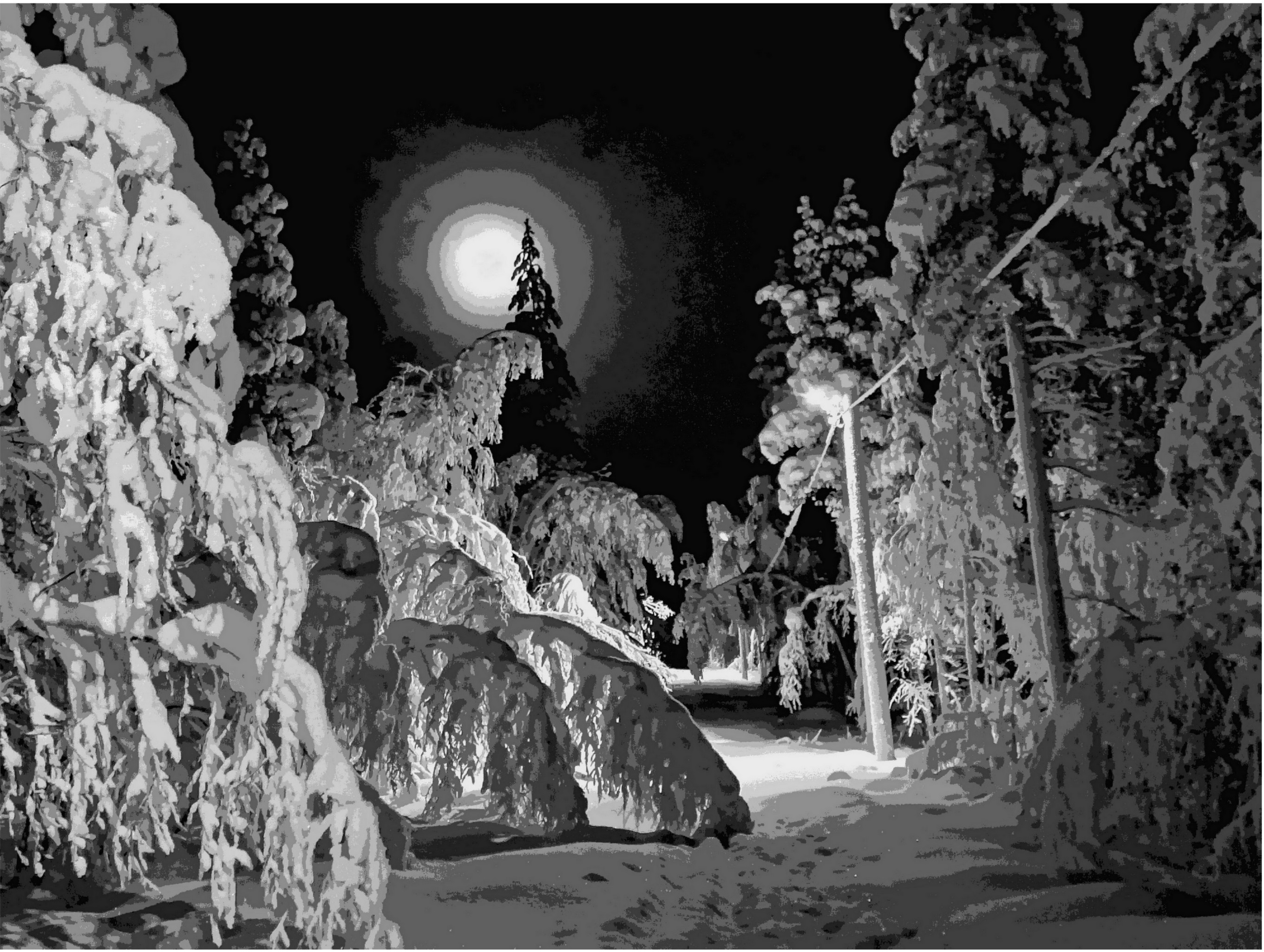 "Сказки Кольского Севера "