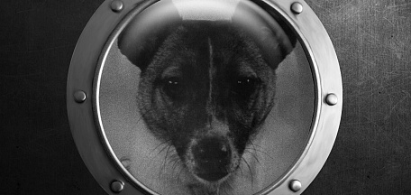 Видеолекция «Советские космические собаки»