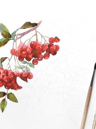 "Мой рябиновый город" 