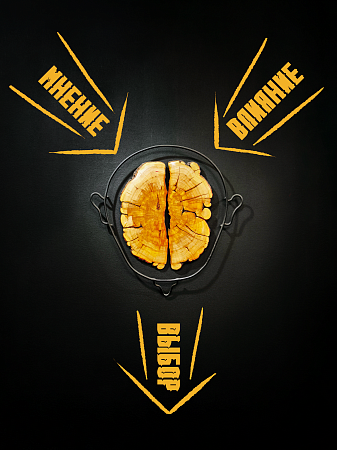 «Мнение. Влияние. Выбор». Живопись и объекты Федора Мухаметшина. г. Апатиты