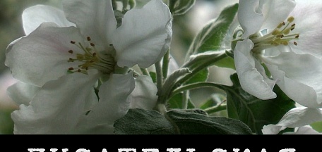 Показы документальных фильмов Максима Кузнецова