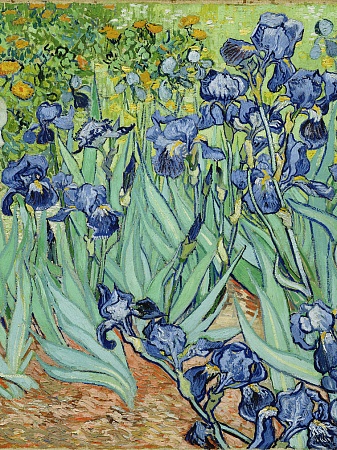 «Хочу как Ван Гог!». Мастер-класс по живописи. Рисуем «Ирисы» 