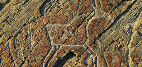 «Первобытное искусство. Мир сновидений». Лекция из цикла «История искусств. От Альтамиры до Матисса»